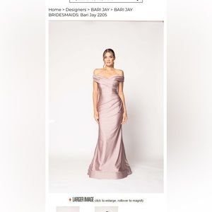 Bari Jay Bridesmaid Dress Style 2205